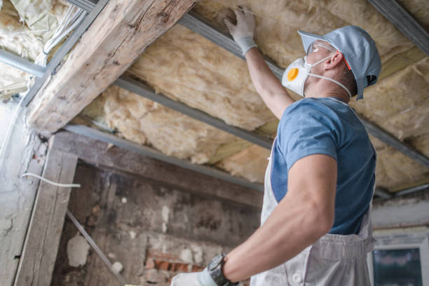Best Geographic-Specific Insulation Services in Brooklyn, OH